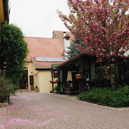 Pensiunea Grosspold Miercurea Sibiului Exterior foto