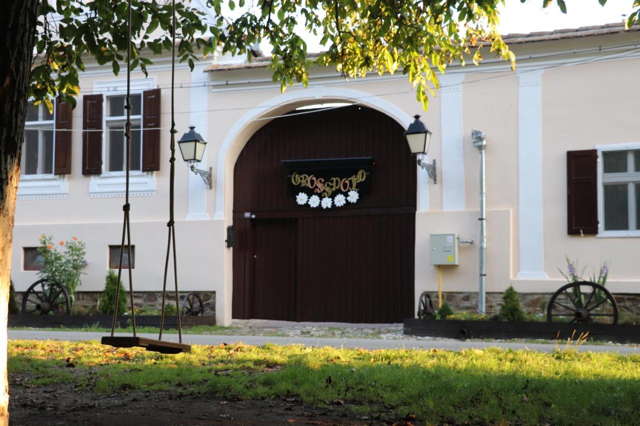 Pensiunea Grosspold Miercurea Sibiului Exterior foto