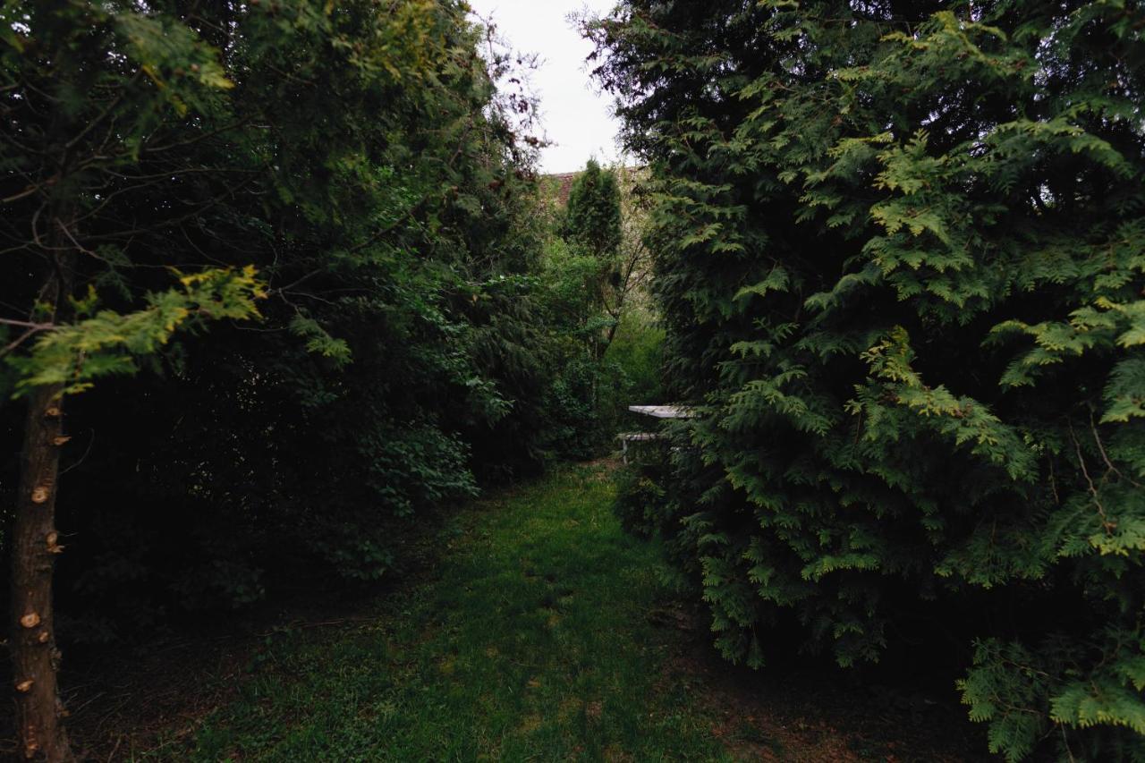Pensiunea Grosspold Miercurea Sibiului Exterior foto